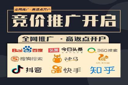 专业SEM服务公司案例分析报告
